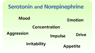 brain shivers, also known as the electric brain thing, the zaps, blips, effexor shocks or brain spasms, is a notorious symptom of certain antidepressants like effexor